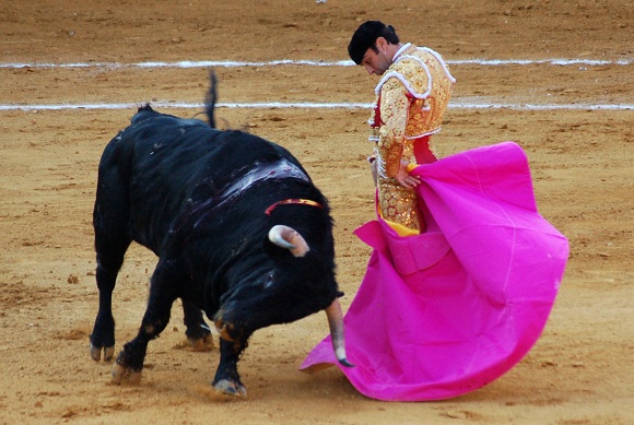 Matador de toros Enrique Ponce