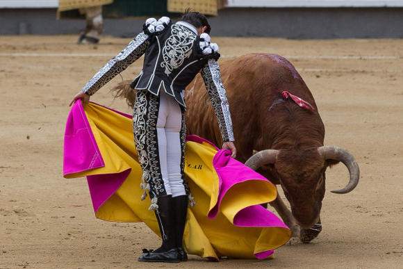 chicuelina pass bullfighting