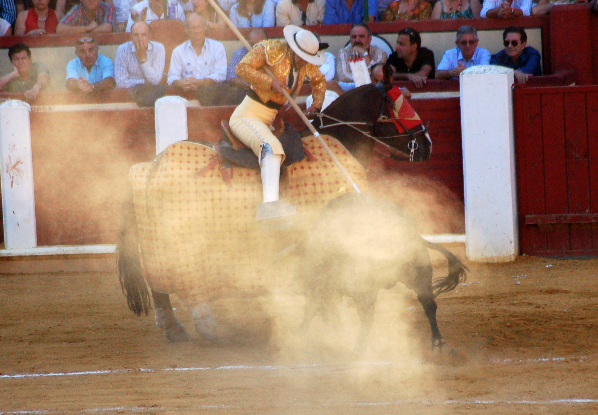 The Picador