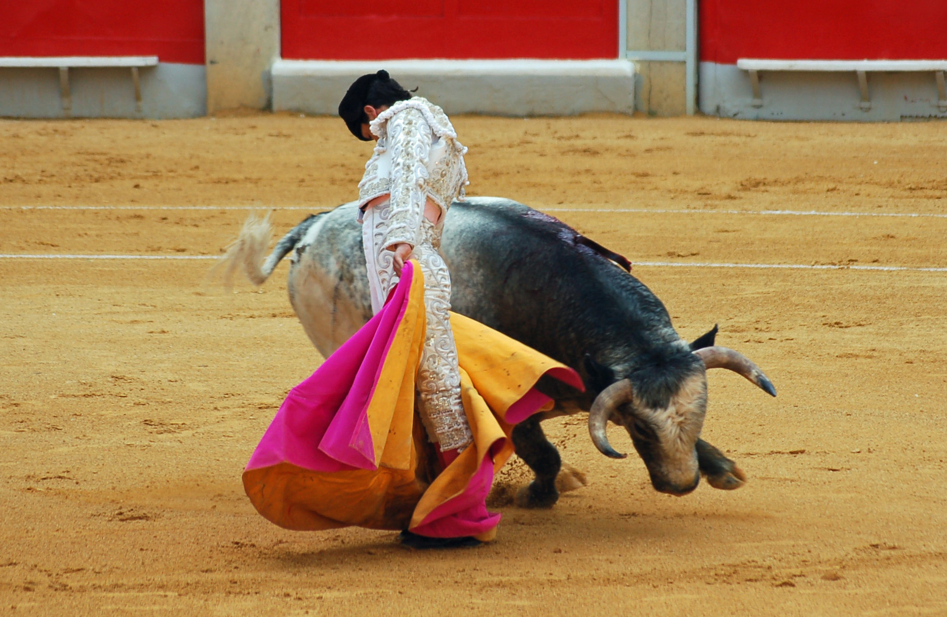 A chicuelina performed by Miguel Abellán